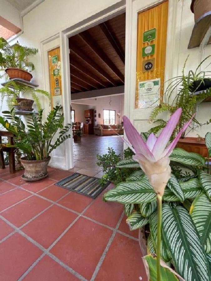 Villa Caribbean Dream Vieux Fort Dış mekan fotoğraf