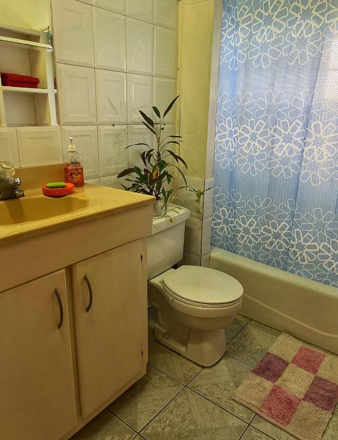 Villa Caribbean Dream Vieux Fort Dış mekan fotoğraf