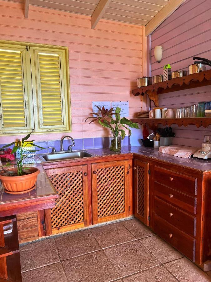 Villa Caribbean Dream Vieux Fort Dış mekan fotoğraf