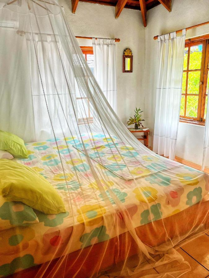 Villa Caribbean Dream Vieux Fort Dış mekan fotoğraf