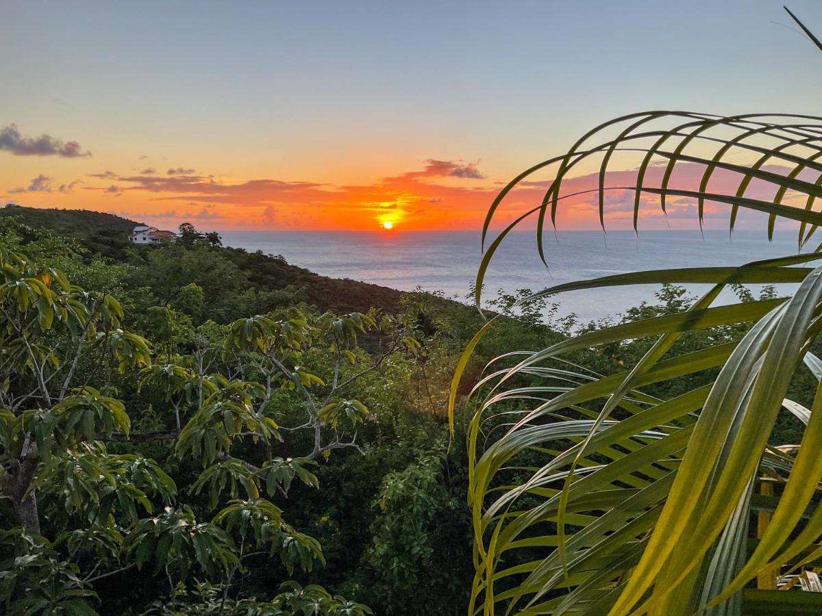 Villa Caribbean Dream Vieux Fort Dış mekan fotoğraf