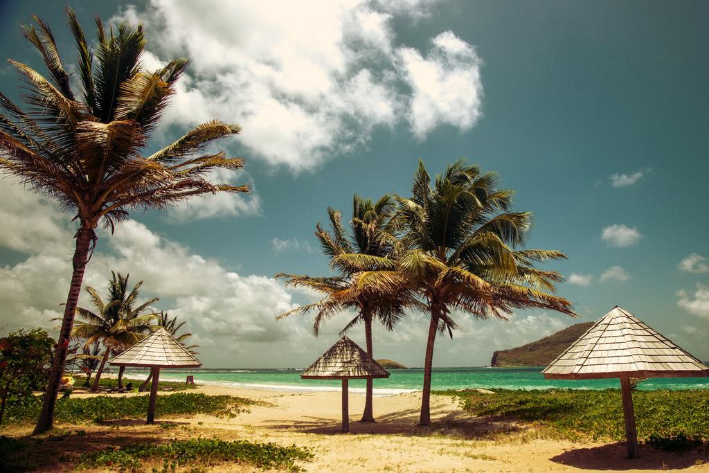 Villa Caribbean Dream Vieux Fort Dış mekan fotoğraf