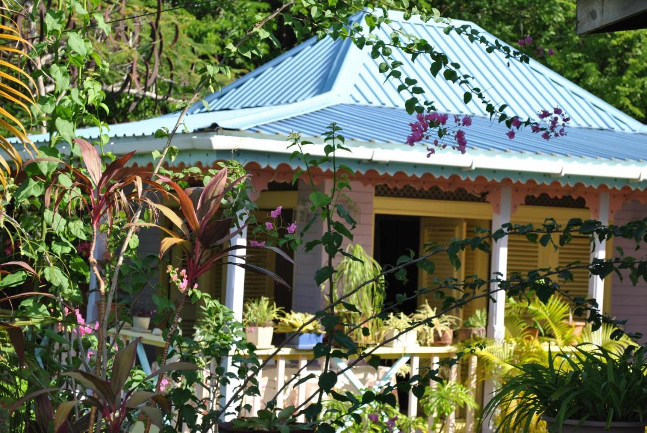 Villa Caribbean Dream Vieux Fort Dış mekan fotoğraf